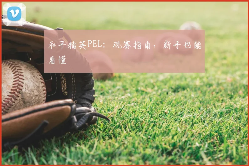 和平精英PEL：观赛指南，新手也能看懂