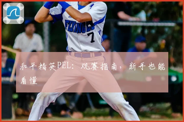 和平精英PEL：观赛指南，新手也能看懂