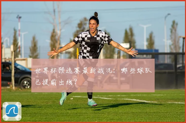 世界杯预选赛最新战况:哪些球队已提前出线?
