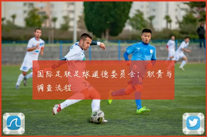 国际足联足球道德委员会:职责与调查流程