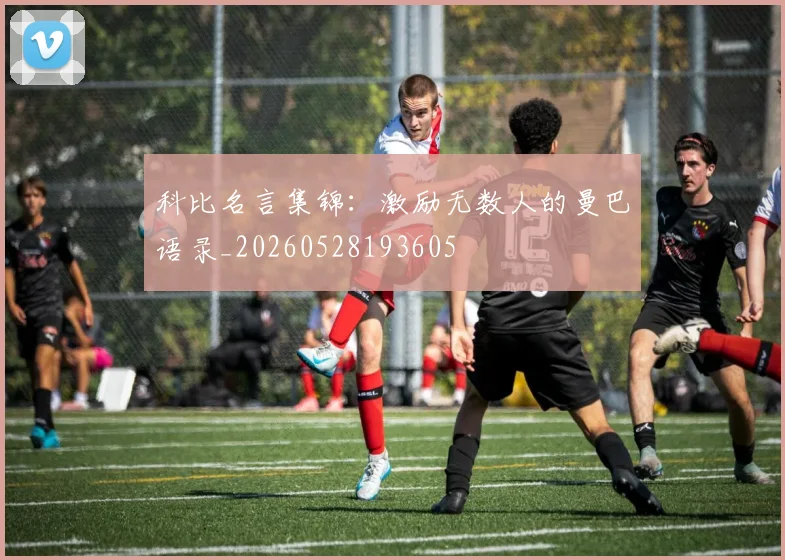 科比名言集锦:激励无数人的曼巴语录_20260528193605