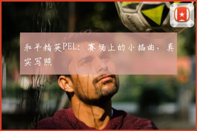 和平精英PEL：赛场上的小插曲，真实写照